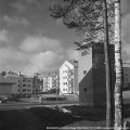 NÃ¤yttelijÃ¤ntie 2. Pohjois-Haaga 1954. Kuva.CC BY 4.0.HKM. U.A.Saarinen  Museovirasto
